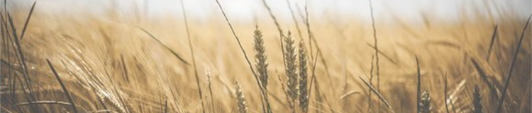 Artisans et Producteurs locaux, produits naturels, circuits courts